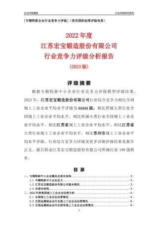[专精特新]江苏宏宝锻造股份有限公司行业竞争力评级分析报告(2023版)