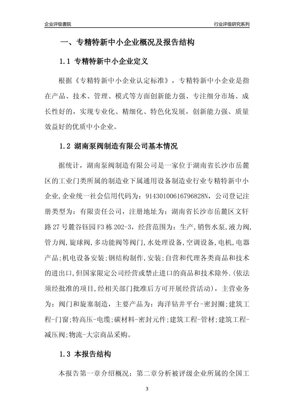 [专精特新]湖南泵阀制造有限公司行业竞争力评级分析报告(2023版)_第3页