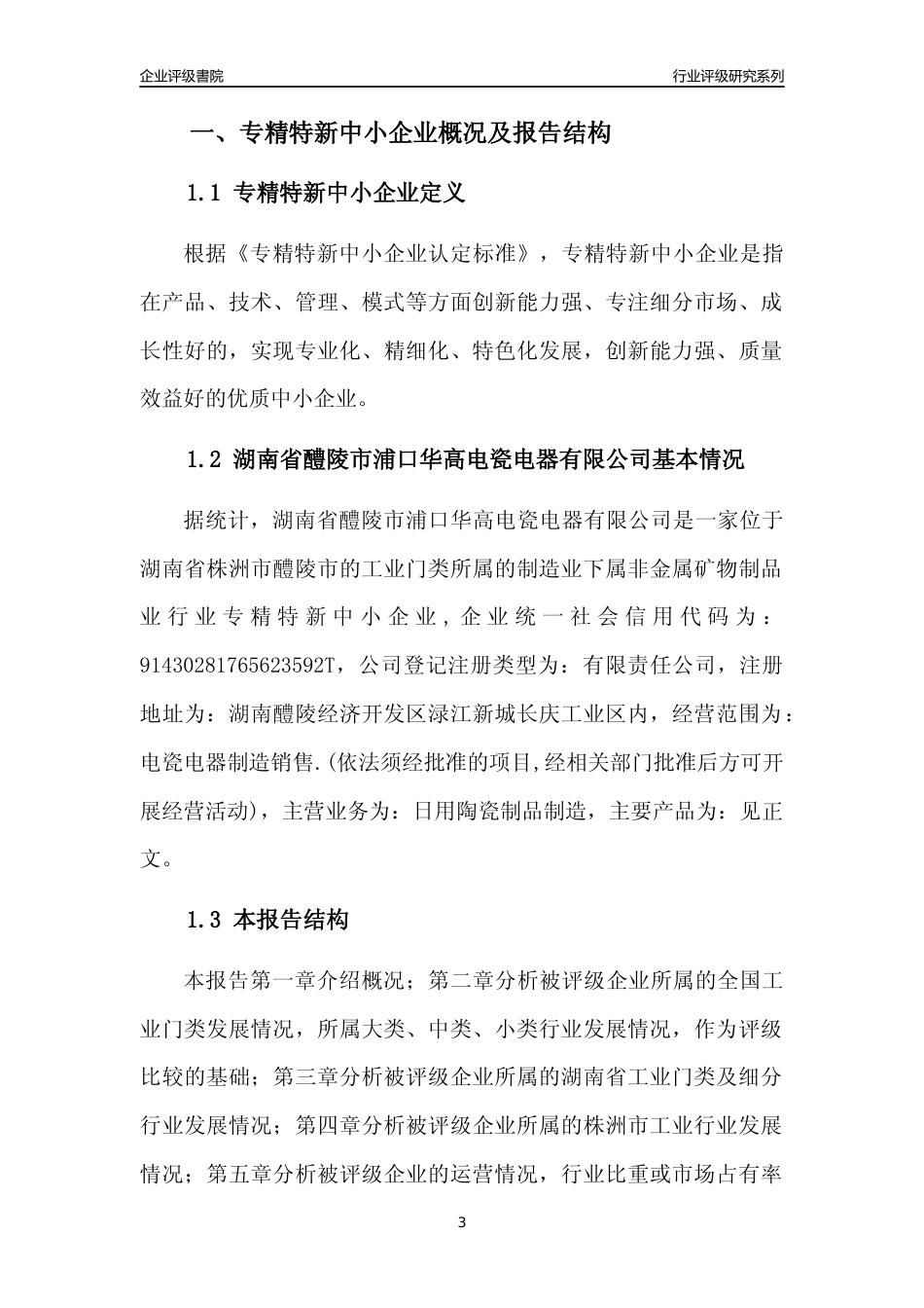 [专精特新]湖南省醴陵市浦口华高电瓷电器有限公司行业竞争力评级分析报告(2023版)_第3页