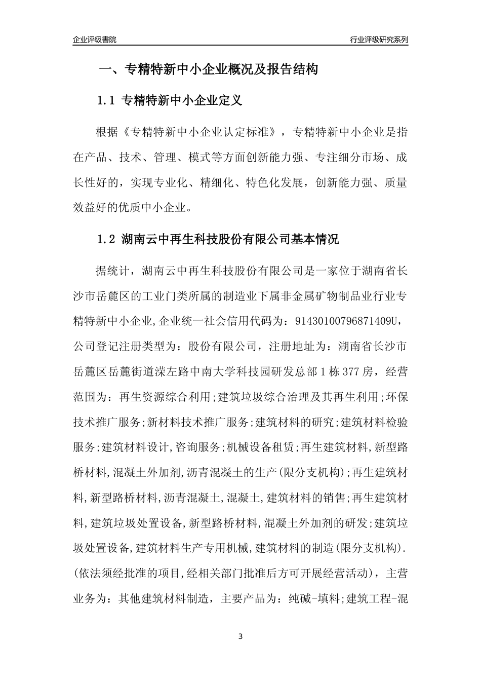 [专精特新]湖南云中再生科技股份有限公司行业竞争力评级分析报告(2023版)_第3页