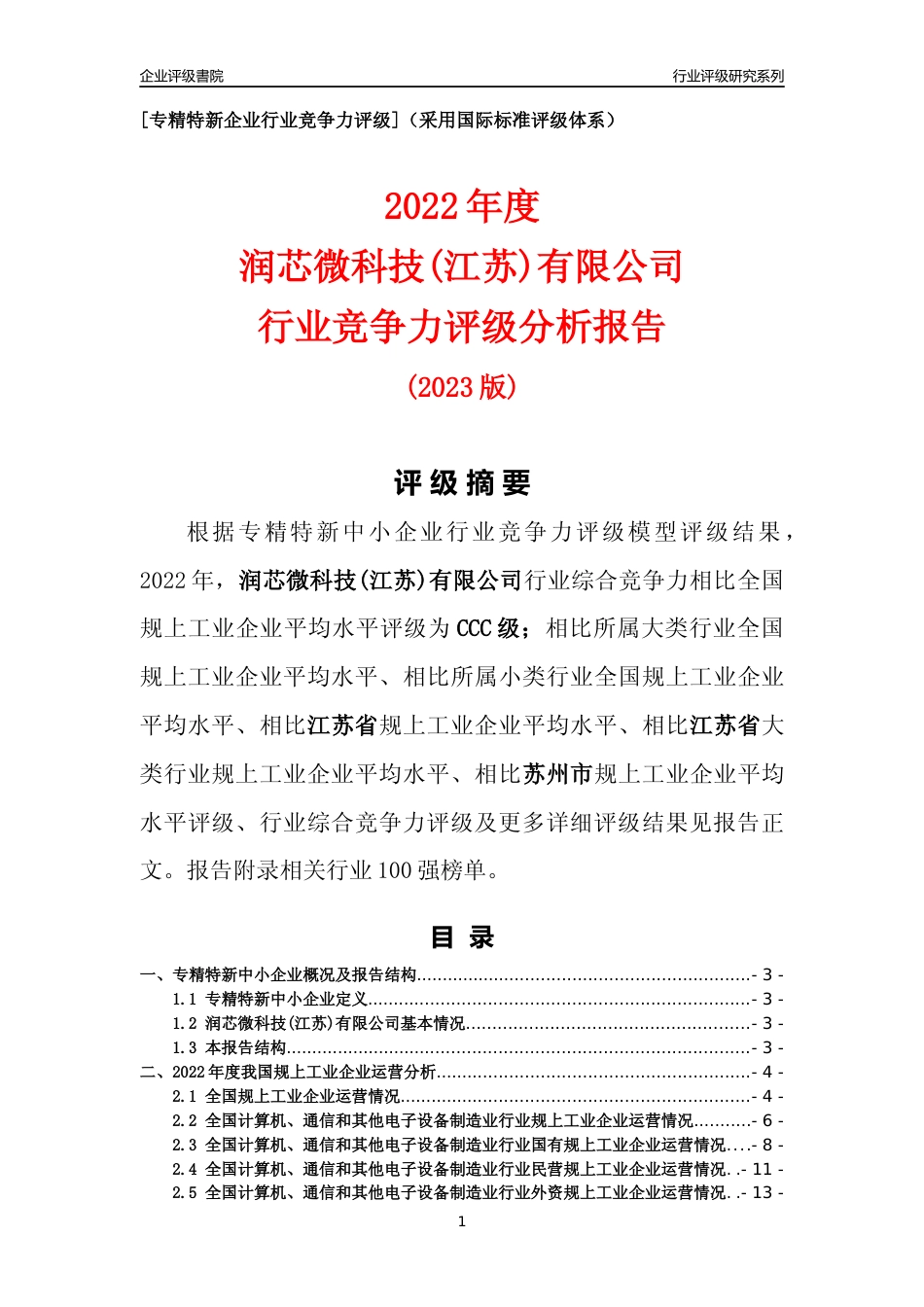 [专精特新]润芯微科技(江苏)有限公司行业竞争力评级分析报告(2023版)_第1页