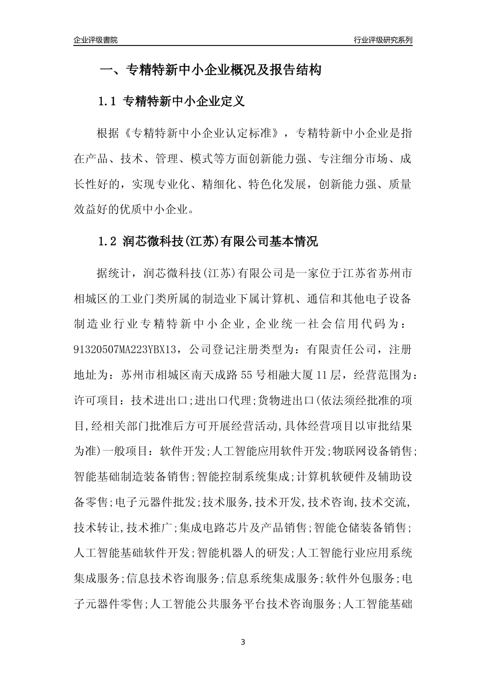 [专精特新]润芯微科技(江苏)有限公司行业竞争力评级分析报告(2023版)_第3页