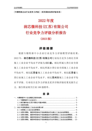 [专精特新]润芯微科技(江苏)有限公司行业竞争力评级分析报告(2023版)