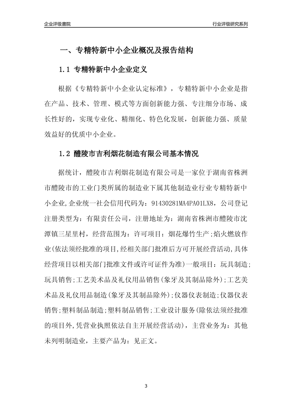 [专精特新]醴陵市吉利烟花制造有限公司行业竞争力评级分析报告(2023版)_第3页