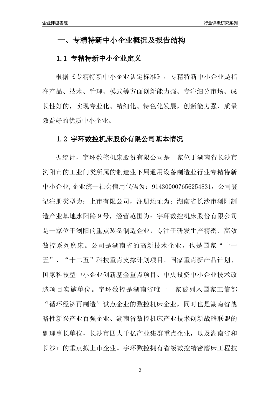 [专精特新]宇环数控机床股份有限公司行业竞争力评级分析报告(2023版)_第3页