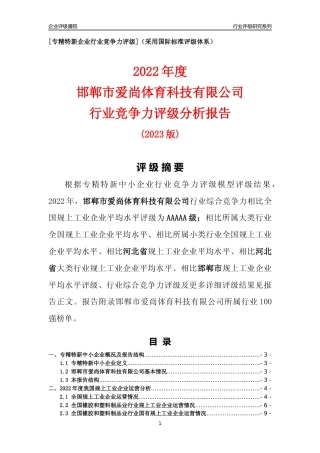 [专精特新]邯郸市爱尚体育科技有限公司行业竞争力评级分析报告(2023版)