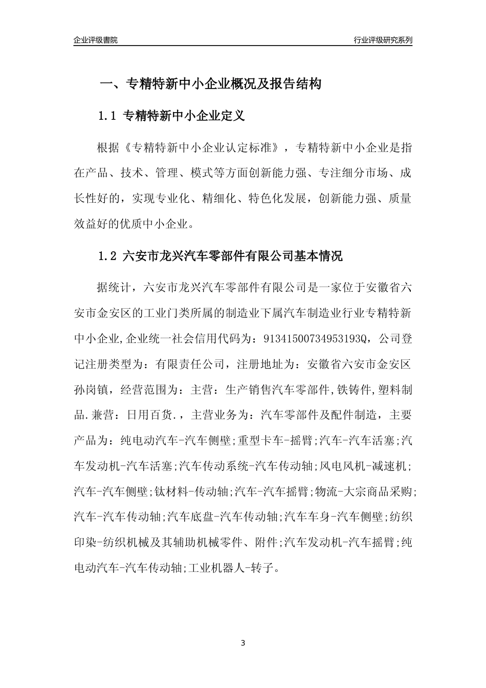 [专精特新]六安市龙兴汽车零部件有限公司行业竞争力评级分析报告(2023版)_第3页