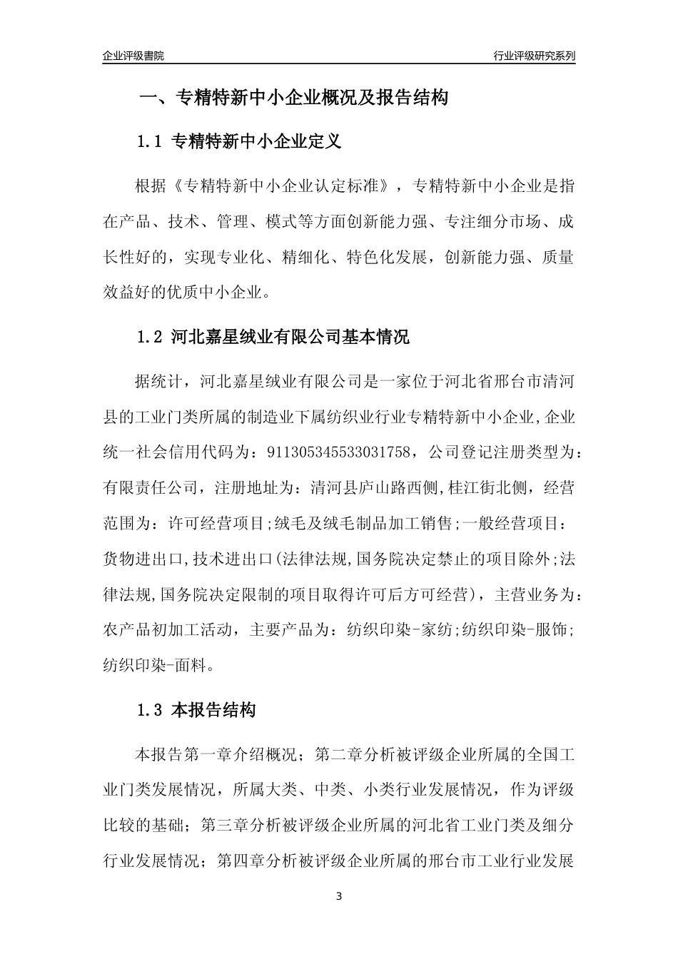 [专精特新]河北嘉星绒业有限公司行业竞争力评级分析报告(2023版)_第3页