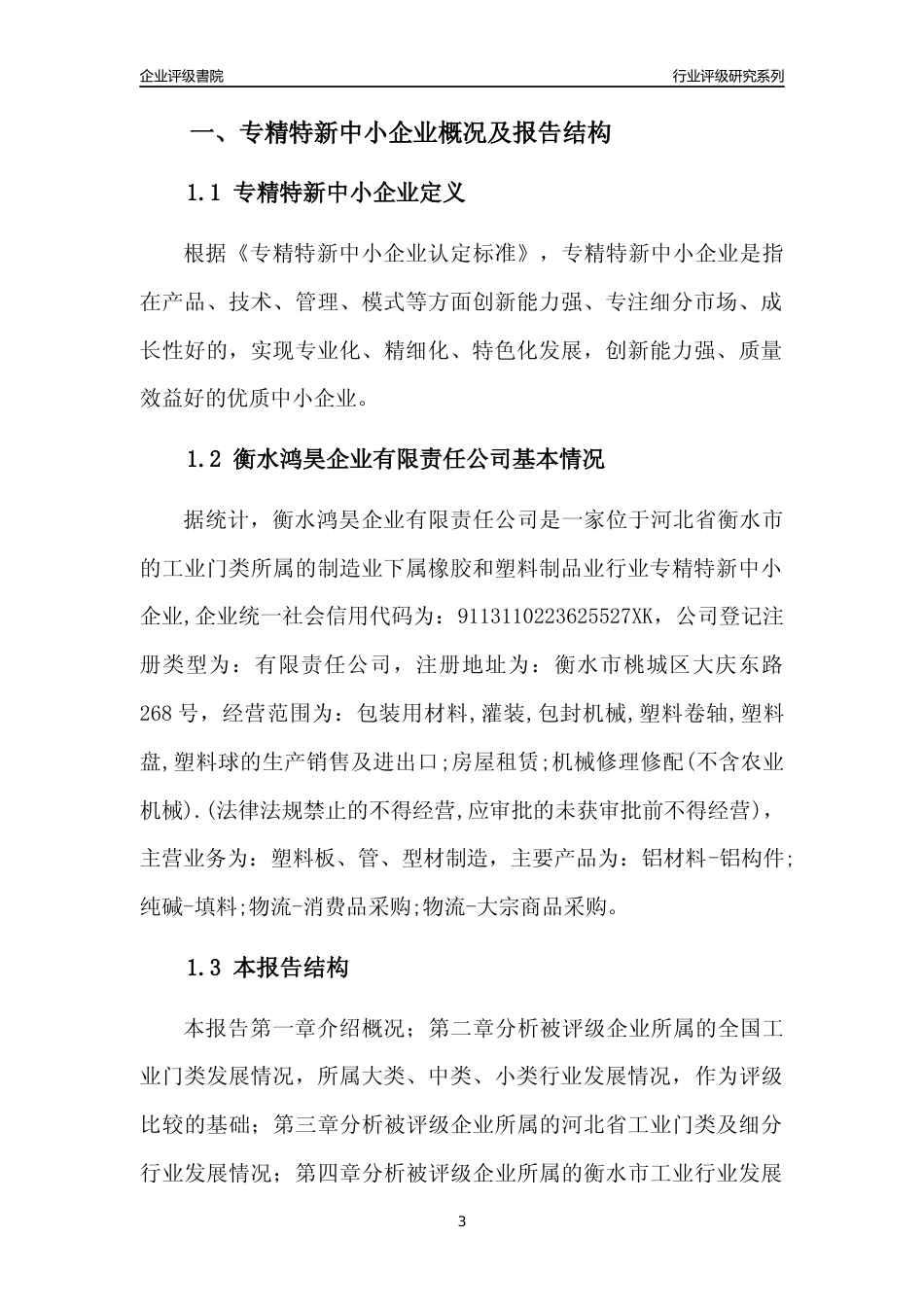 [专精特新]衡水鸿昊企业有限责任公司行业竞争力评级分析报告(2023版)_第3页