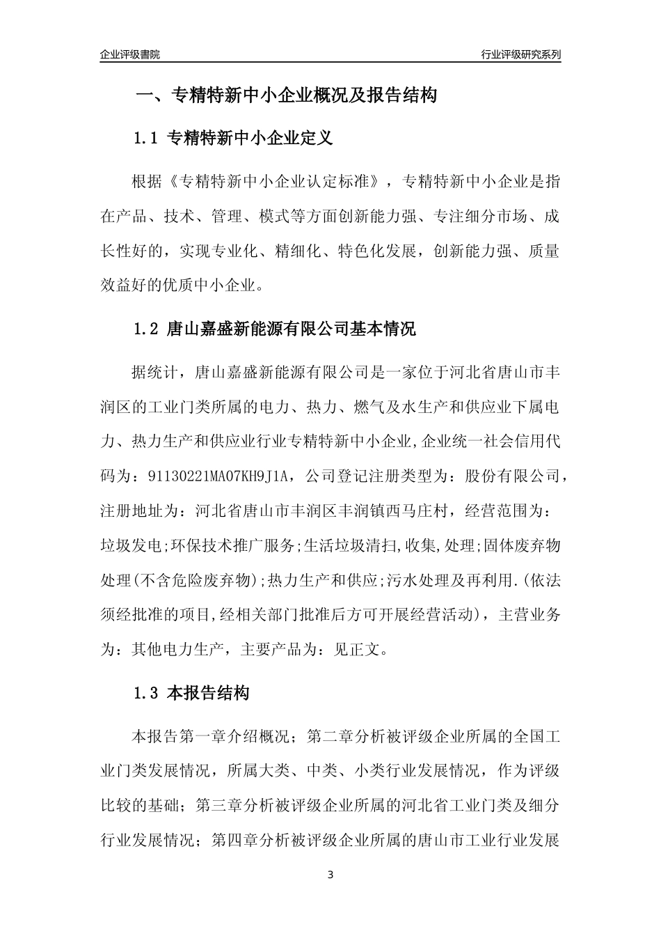 [专精特新]唐山嘉盛新能源有限公司行业竞争力评级分析报告(2023版)_第3页
