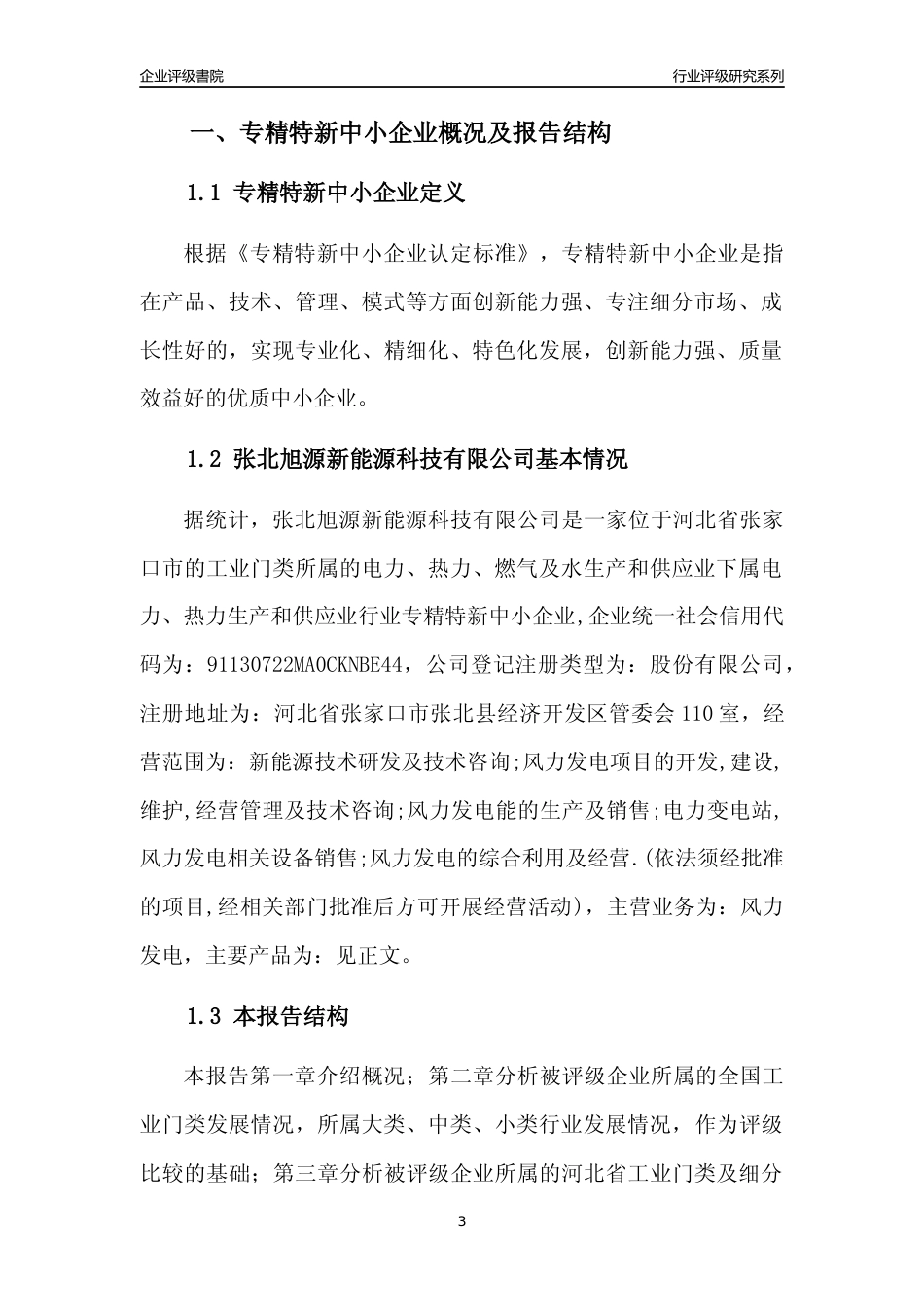 [专精特新]张北旭源新能源科技有限公司行业竞争力评级分析报告(2023版)_第3页