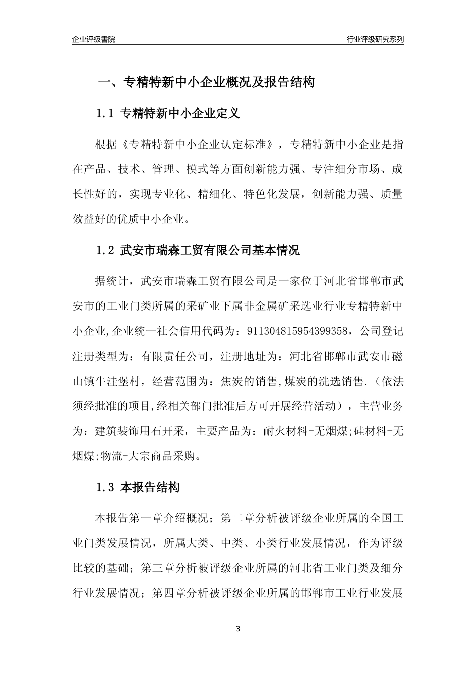 [专精特新]武安市瑞森工贸有限公司行业竞争力评级分析报告(2023版)_第3页