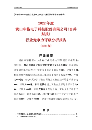 [专精特新]黄山申格电子科技股份有限公司(合并财报)行业竞争力评级分析报告(2023版)