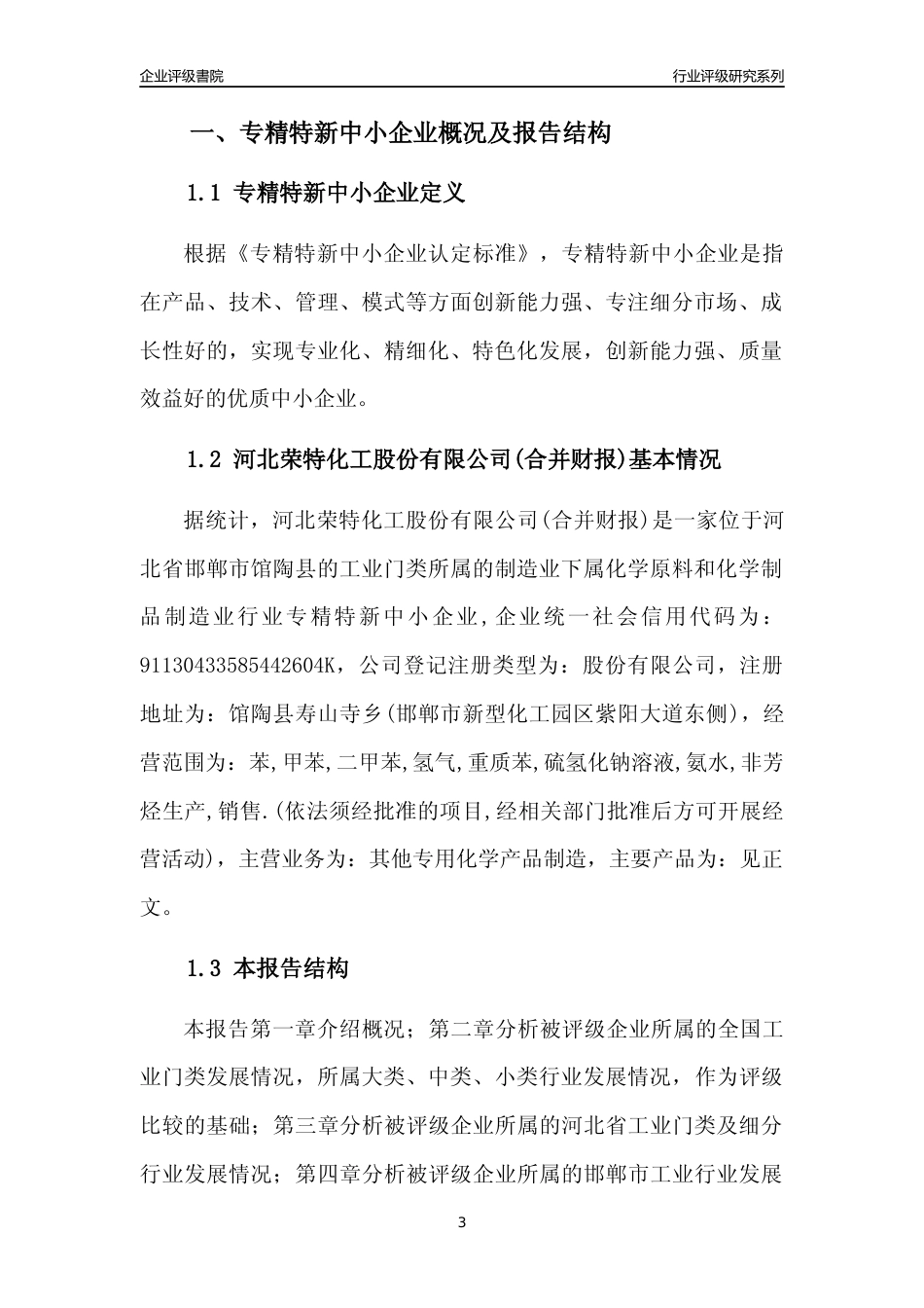 [专精特新]河北荣特化工股份有限公司(合并财报)行业竞争力评级分析报告(2023版)_第3页