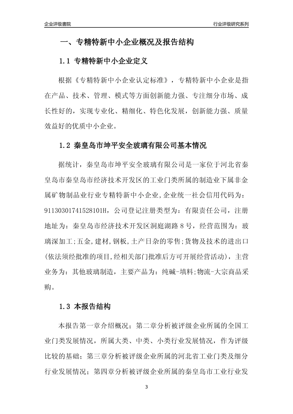[专精特新]秦皇岛市坤平安全玻璃有限公司行业竞争力评级分析报告(2023版)_第3页