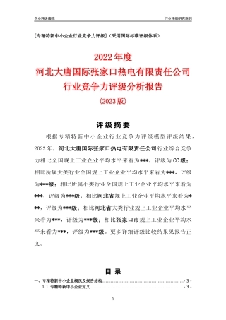 [专精特新]河北大唐国际张家口热电有限责任公司行业竞争力评级分析报告(2023版)