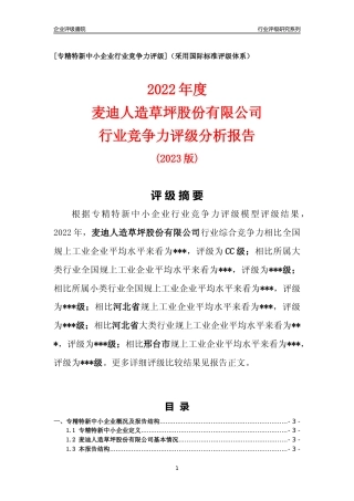 [专精特新]麦迪人造草坪股份有限公司行业竞争力评级分析报告(2023版)
