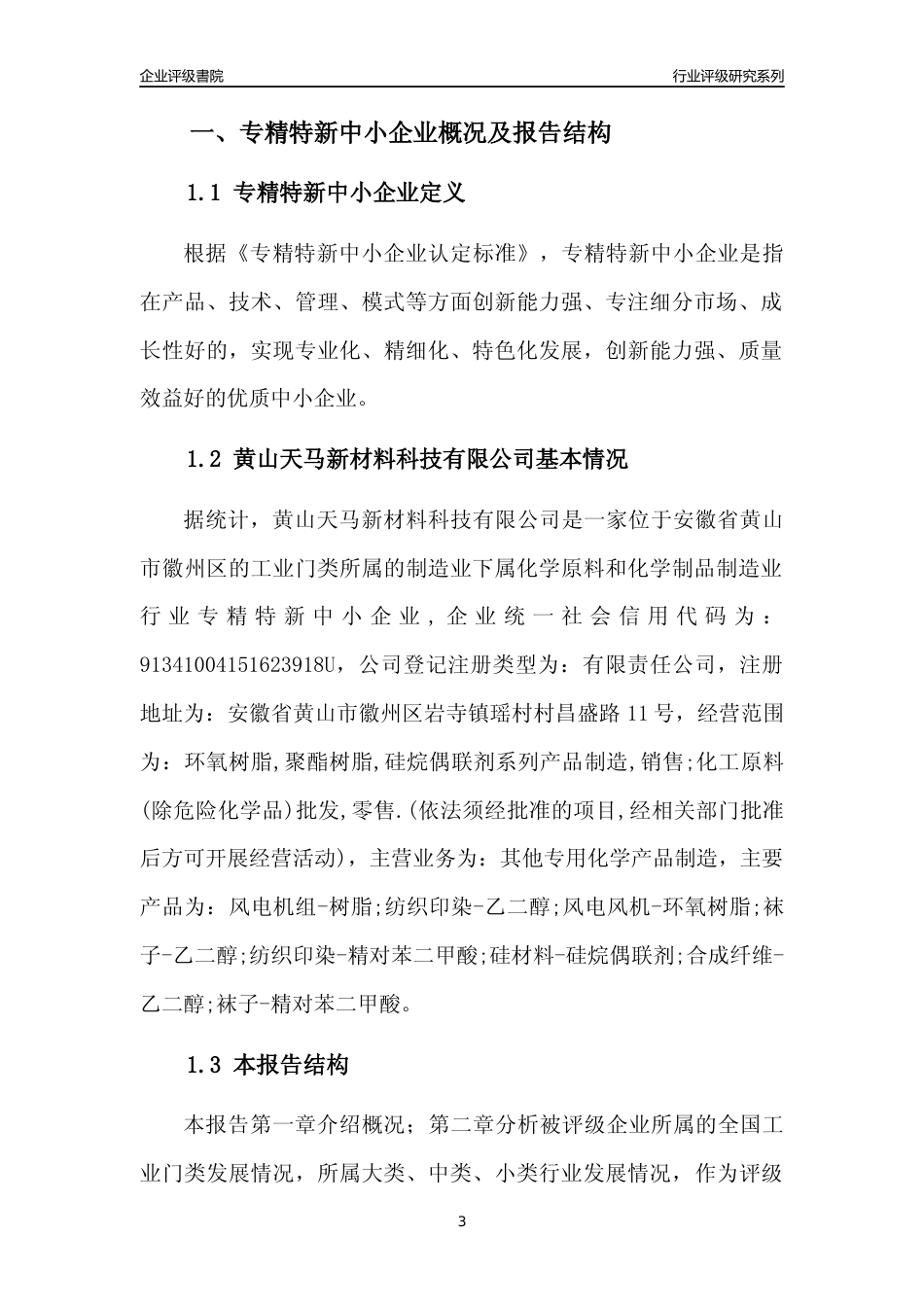 [专精特新]黄山天马新材料科技有限公司行业竞争力评级分析报告(2023版)_第3页