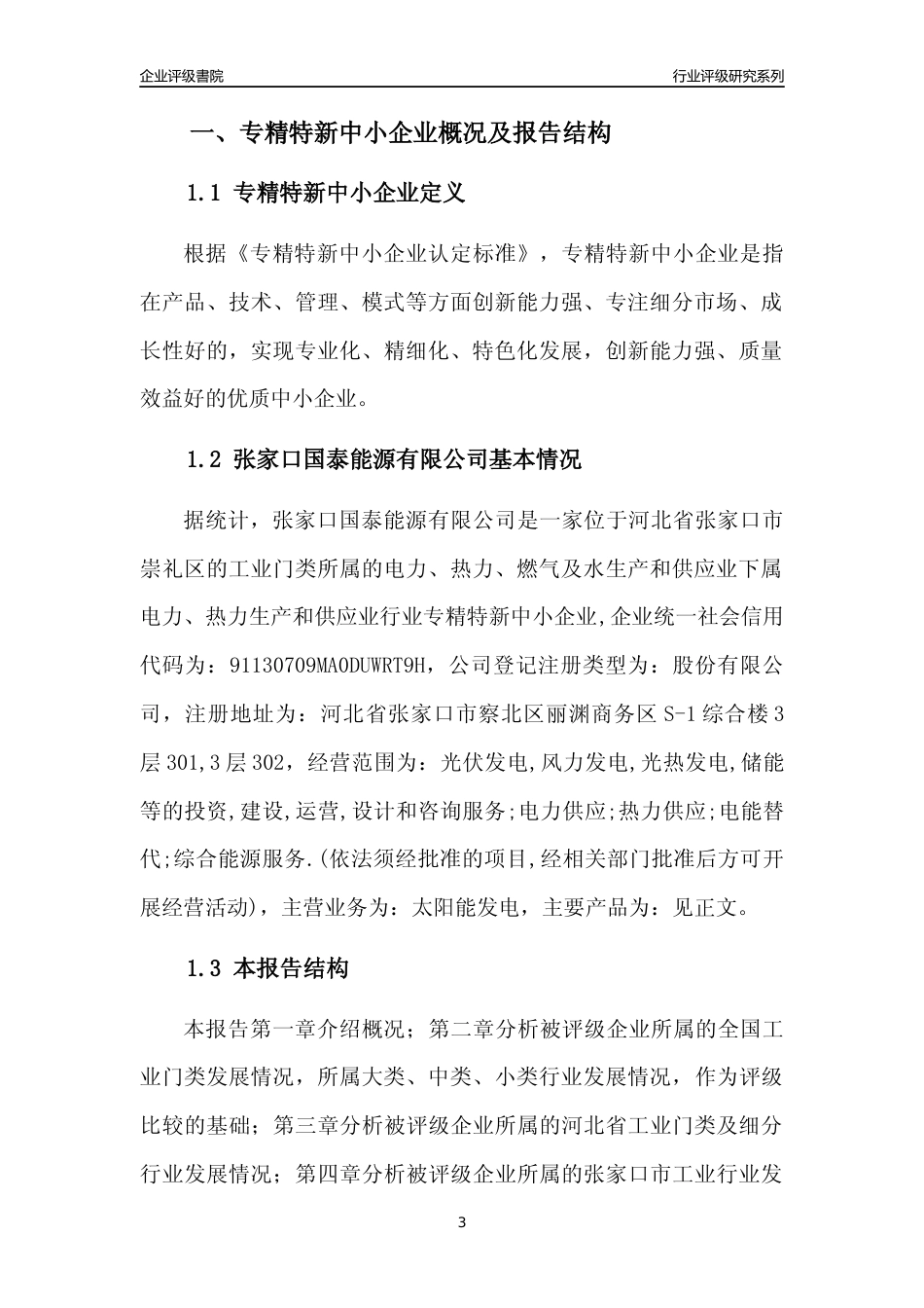 [专精特新]张家口国泰能源有限公司行业竞争力评级分析报告(2023版)_第3页