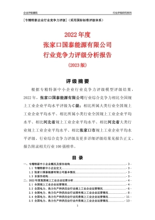 [专精特新]张家口国泰能源有限公司行业竞争力评级分析报告(2023版)