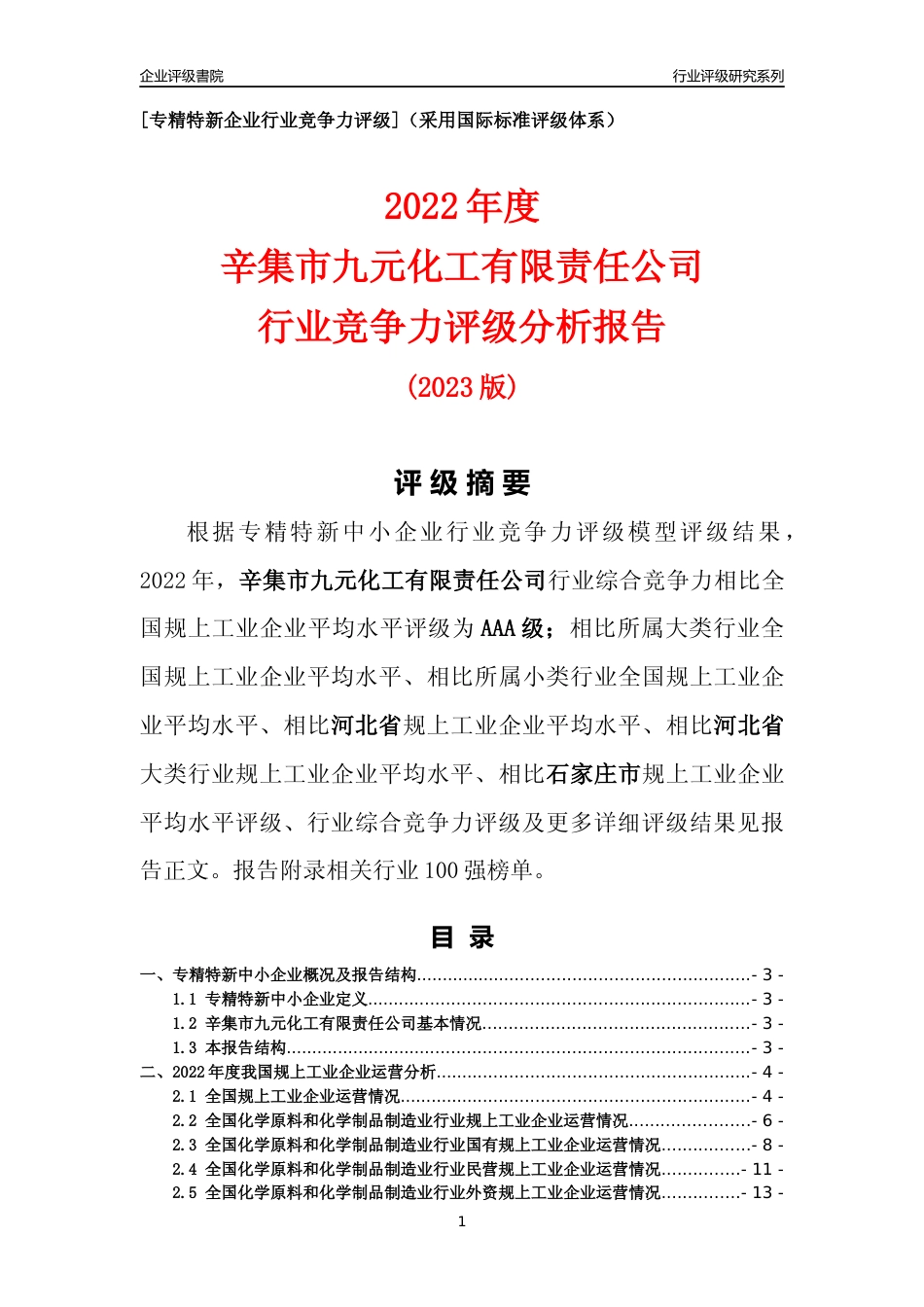 [专精特新]辛集市九元化工有限责任公司行业竞争力评级分析报告(2023版)_第1页