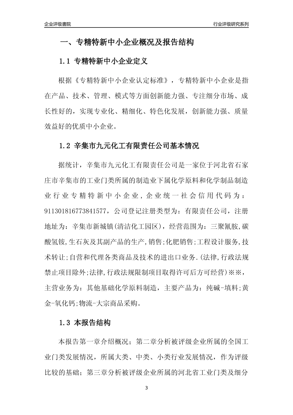 [专精特新]辛集市九元化工有限责任公司行业竞争力评级分析报告(2023版)_第3页