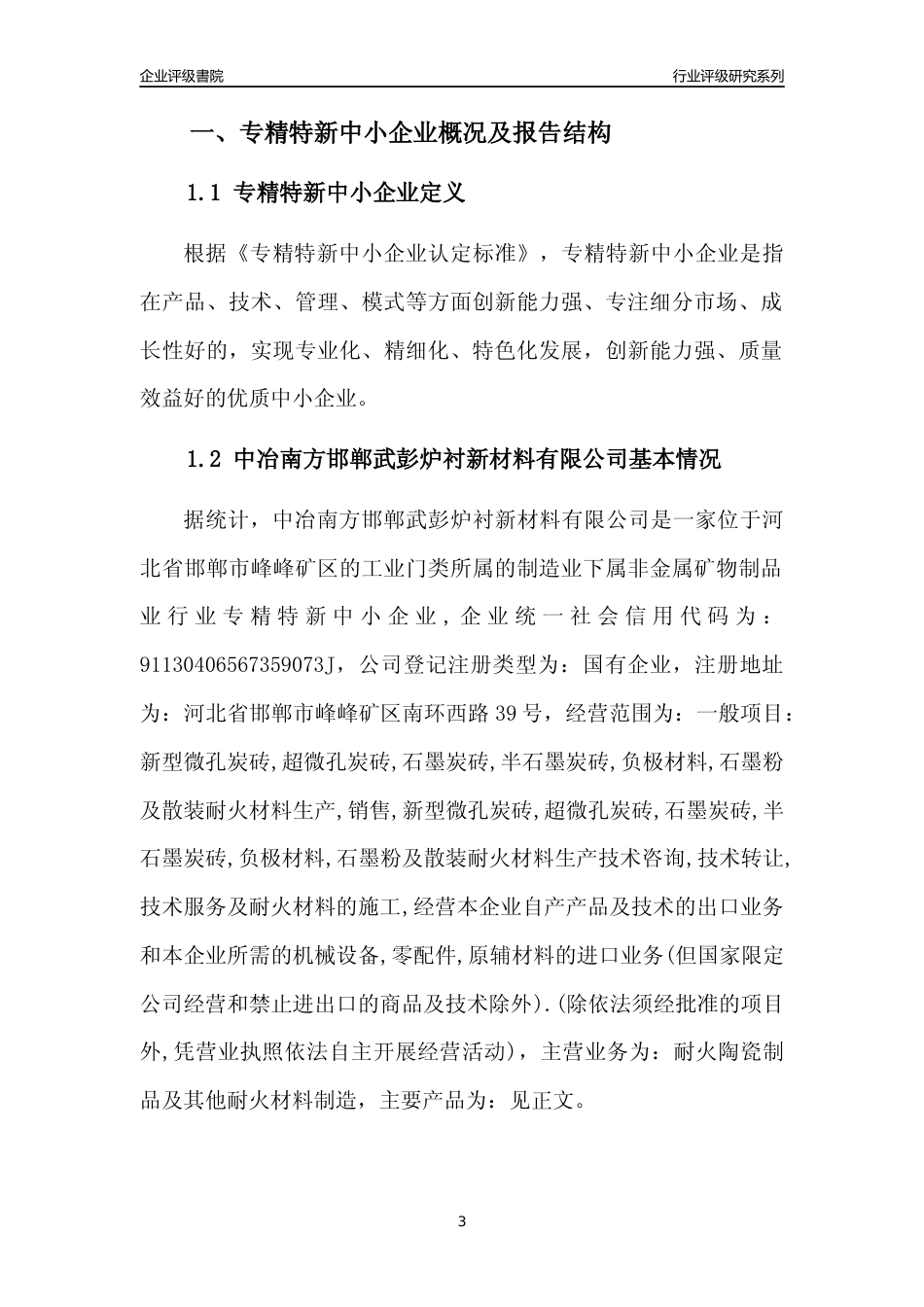 [专精特新]中冶南方邯郸武彭炉衬新材料有限公司行业竞争力评级分析报告(2023版)_第3页