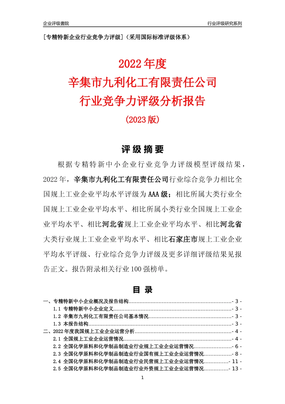 [专精特新]辛集市九利化工有限责任公司行业竞争力评级分析报告(2023版)_第1页
