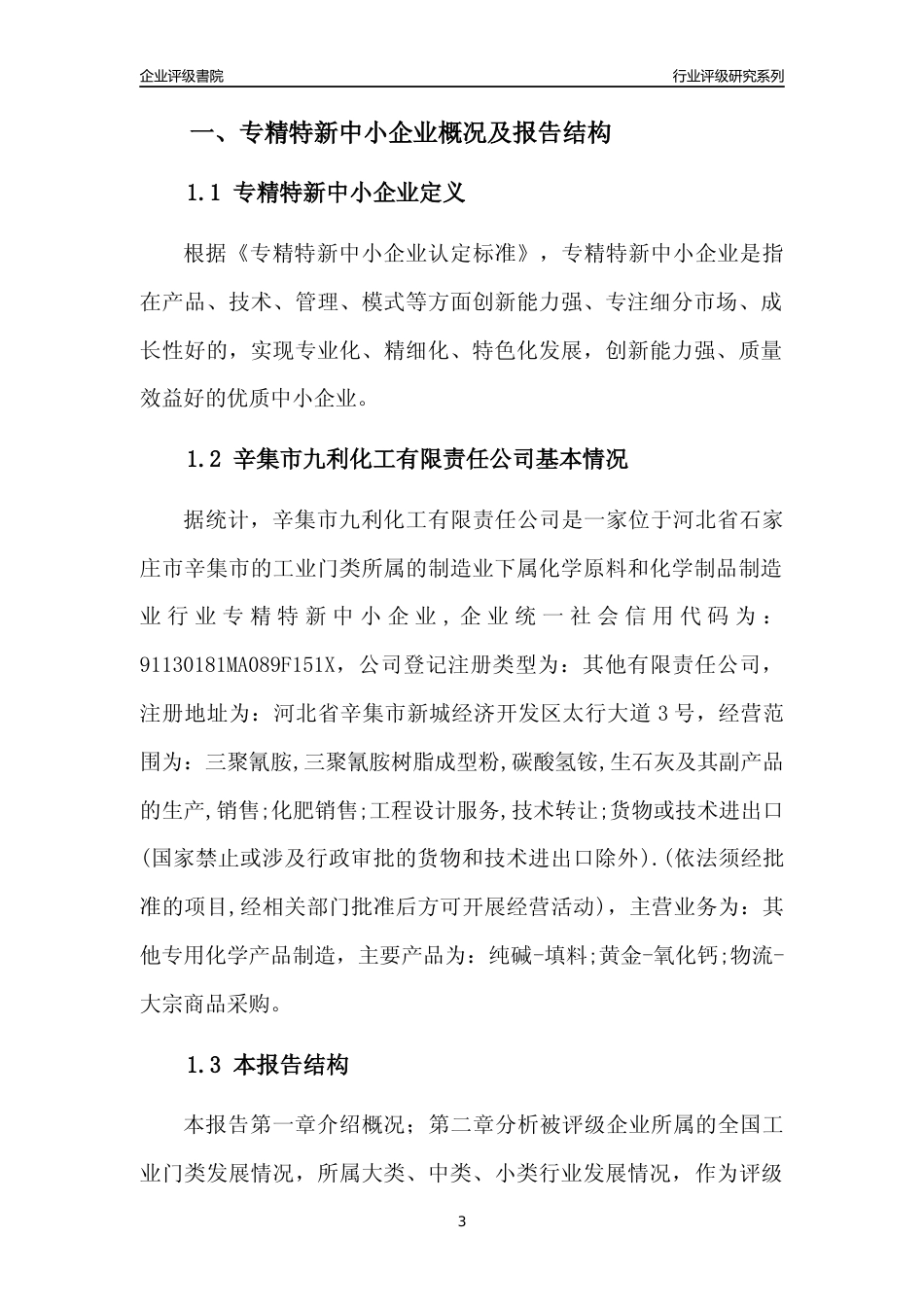 [专精特新]辛集市九利化工有限责任公司行业竞争力评级分析报告(2023版)_第3页