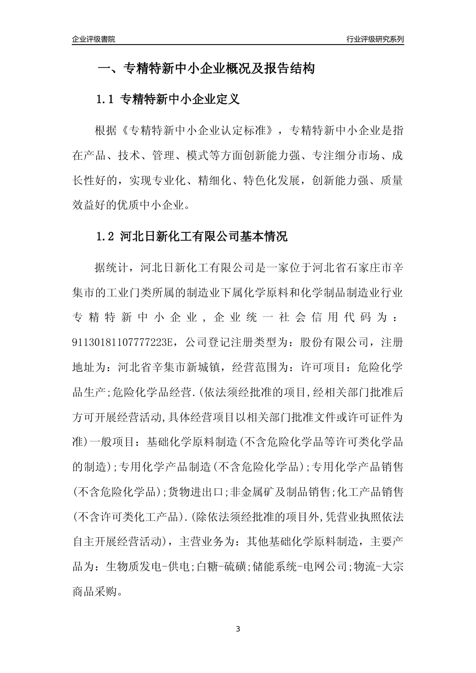 [专精特新]河北日新化工有限公司行业竞争力评级分析报告(2023版)_第3页