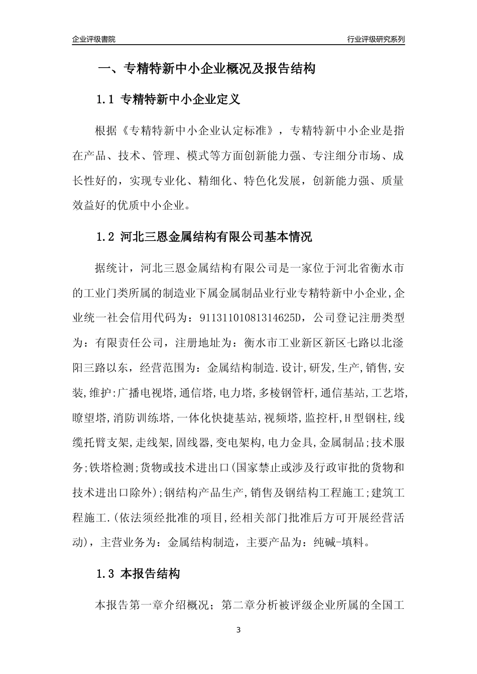 [专精特新]河北三恩金属结构有限公司行业竞争力评级分析报告(2023版)_第3页