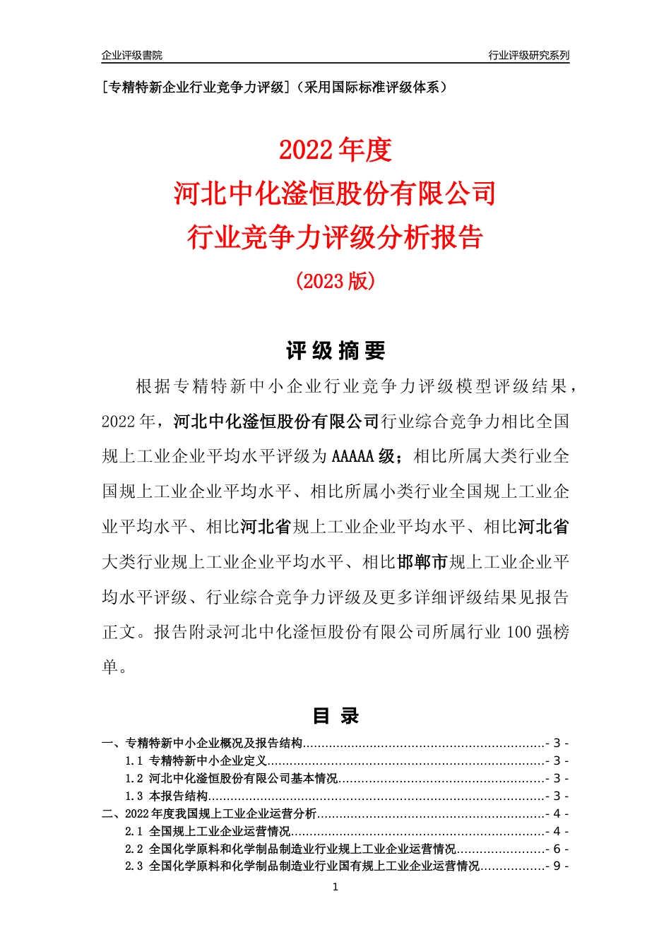 [专精特新]河北中化滏恒股份有限公司行业竞争力评级分析报告(2023版)_第1页