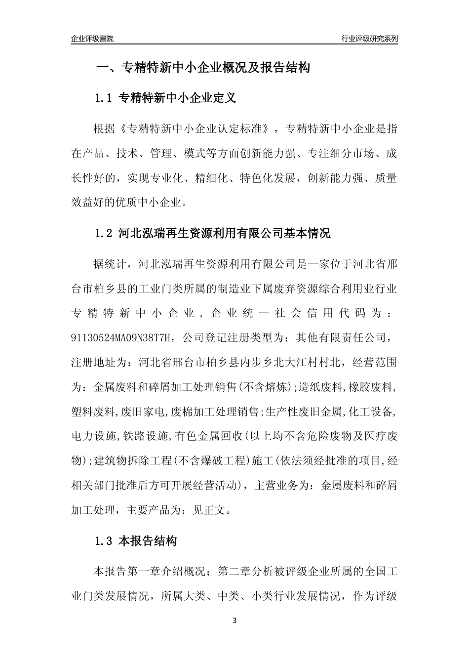 [专精特新]河北泓瑞再生资源利用有限公司行业竞争力评级分析报告(2023版)_第3页