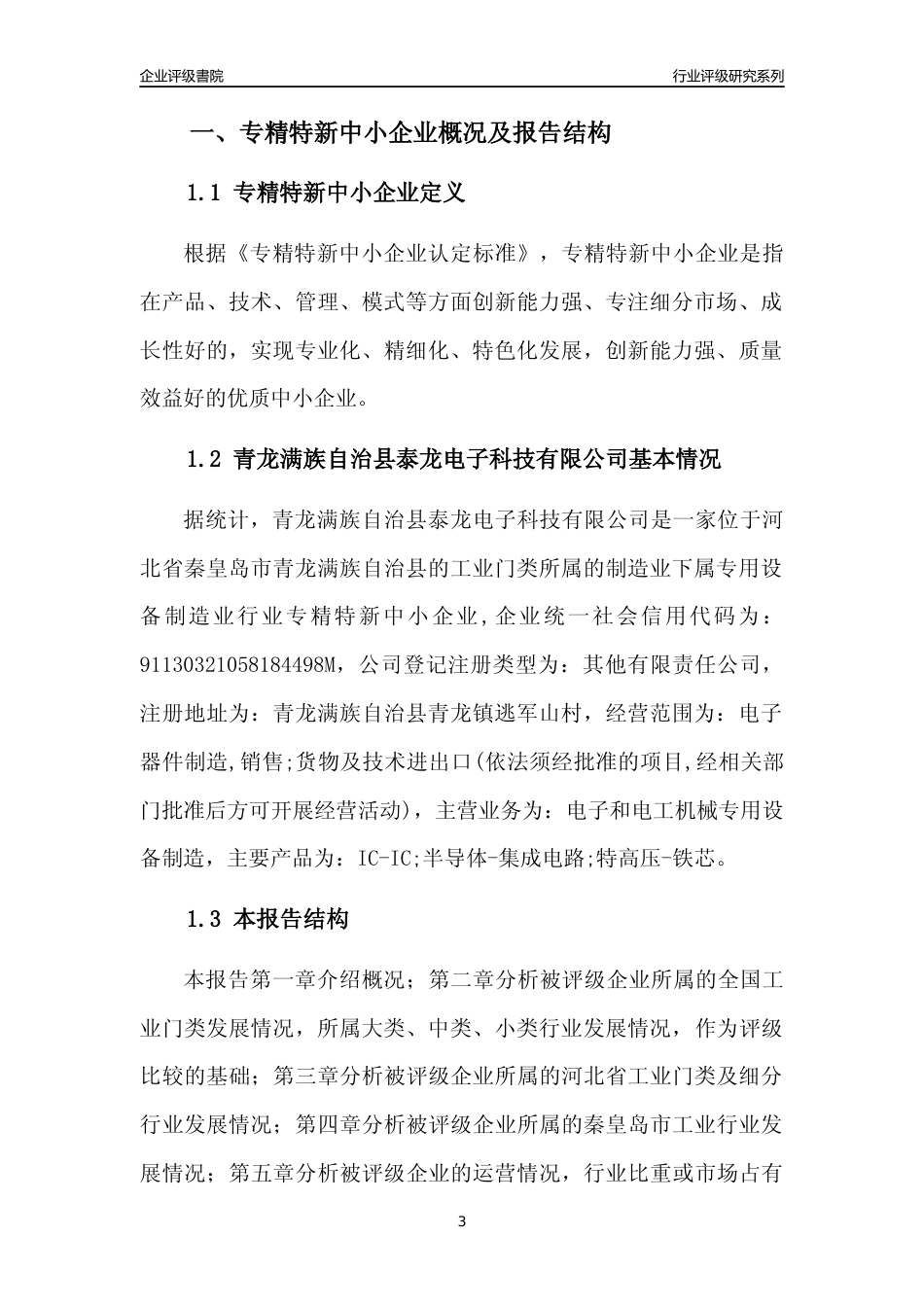 [专精特新]青龙满族自治县泰龙电子科技有限公司行业竞争力评级分析报告(2023版)_第3页