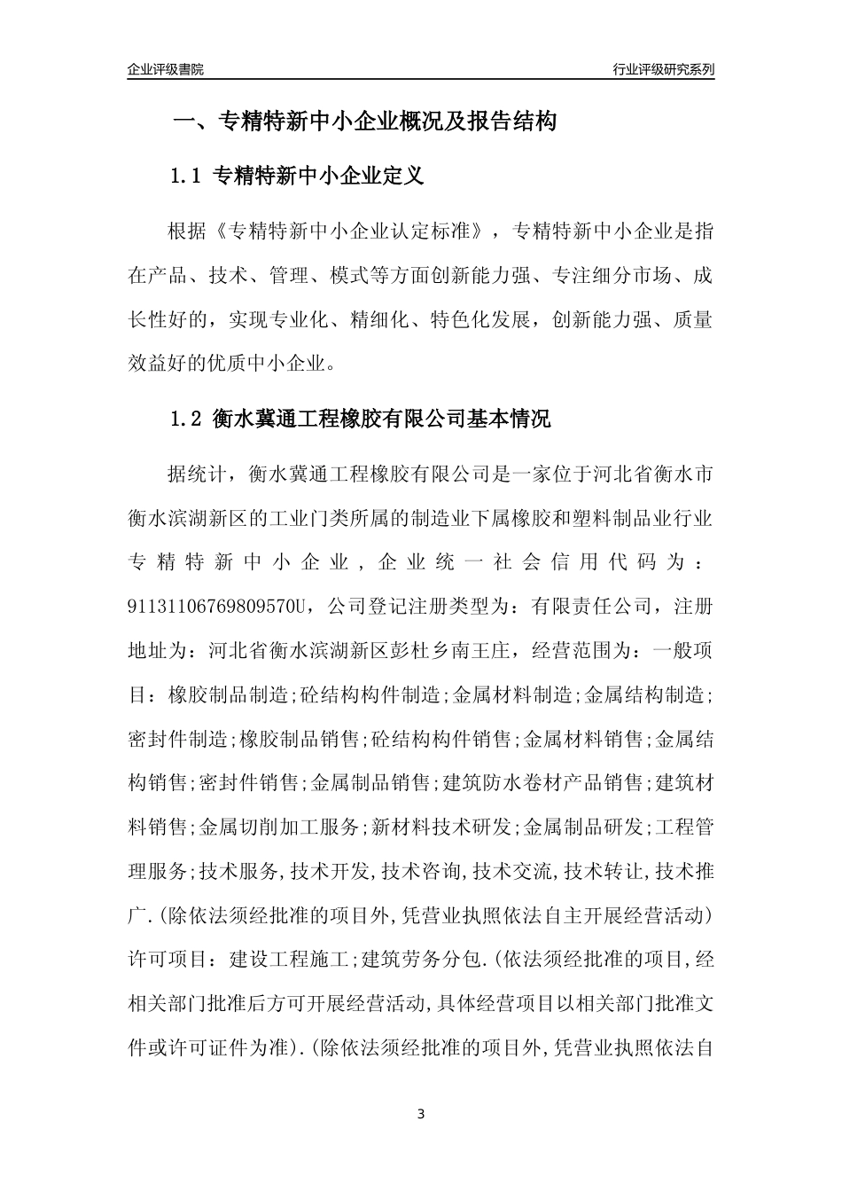 [专精特新]衡水冀通工程橡胶有限公司行业竞争力评级分析报告(2023版)_第3页