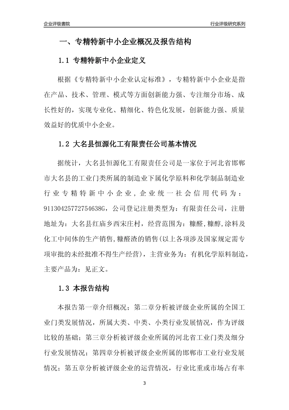 [专精特新]大名县恒源化工有限责任公司行业竞争力评级分析报告(2023版)_第3页