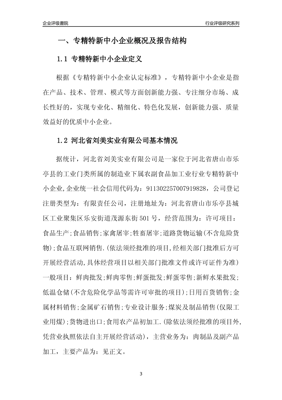[专精特新]河北省刘美实业有限公司行业竞争力评级分析报告(2023版)_第3页