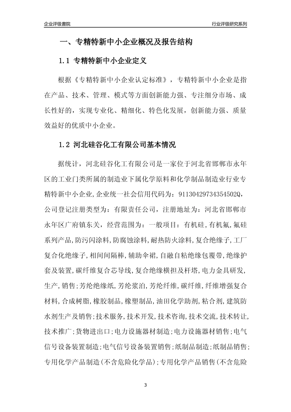 [专精特新]河北硅谷化工有限公司行业竞争力评级分析报告(2023版)_第3页