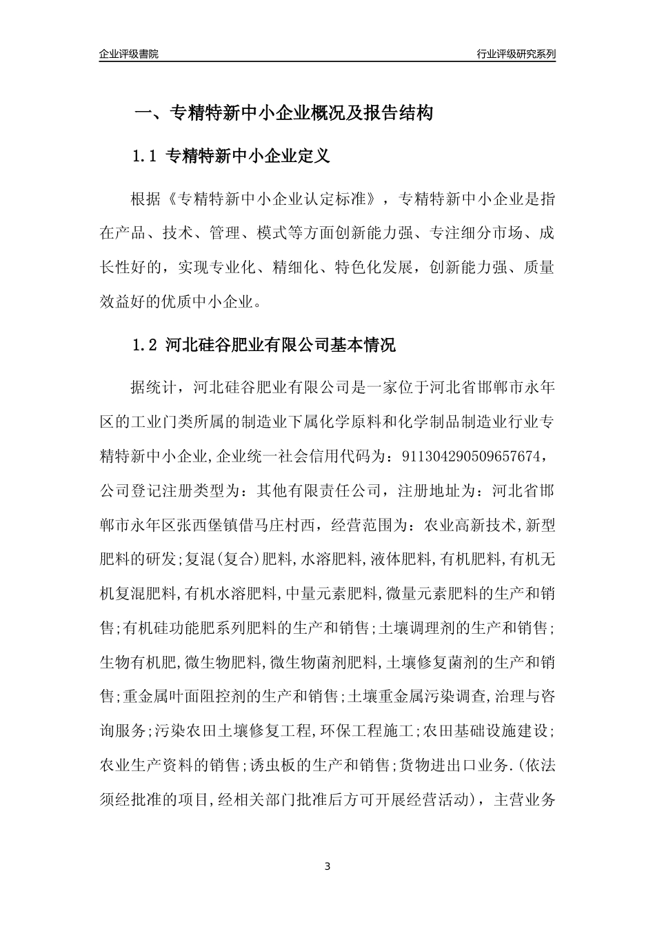 [专精特新]河北硅谷肥业有限公司行业竞争力评级分析报告(2023版)_第3页