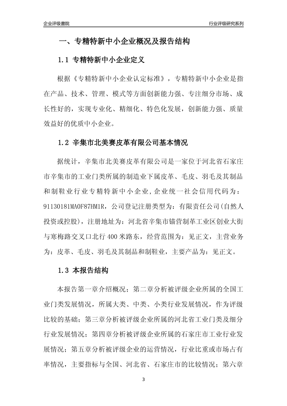 [专精特新]辛集市北美赛皮革有限公司行业竞争力评级分析报告(2023版)_第3页