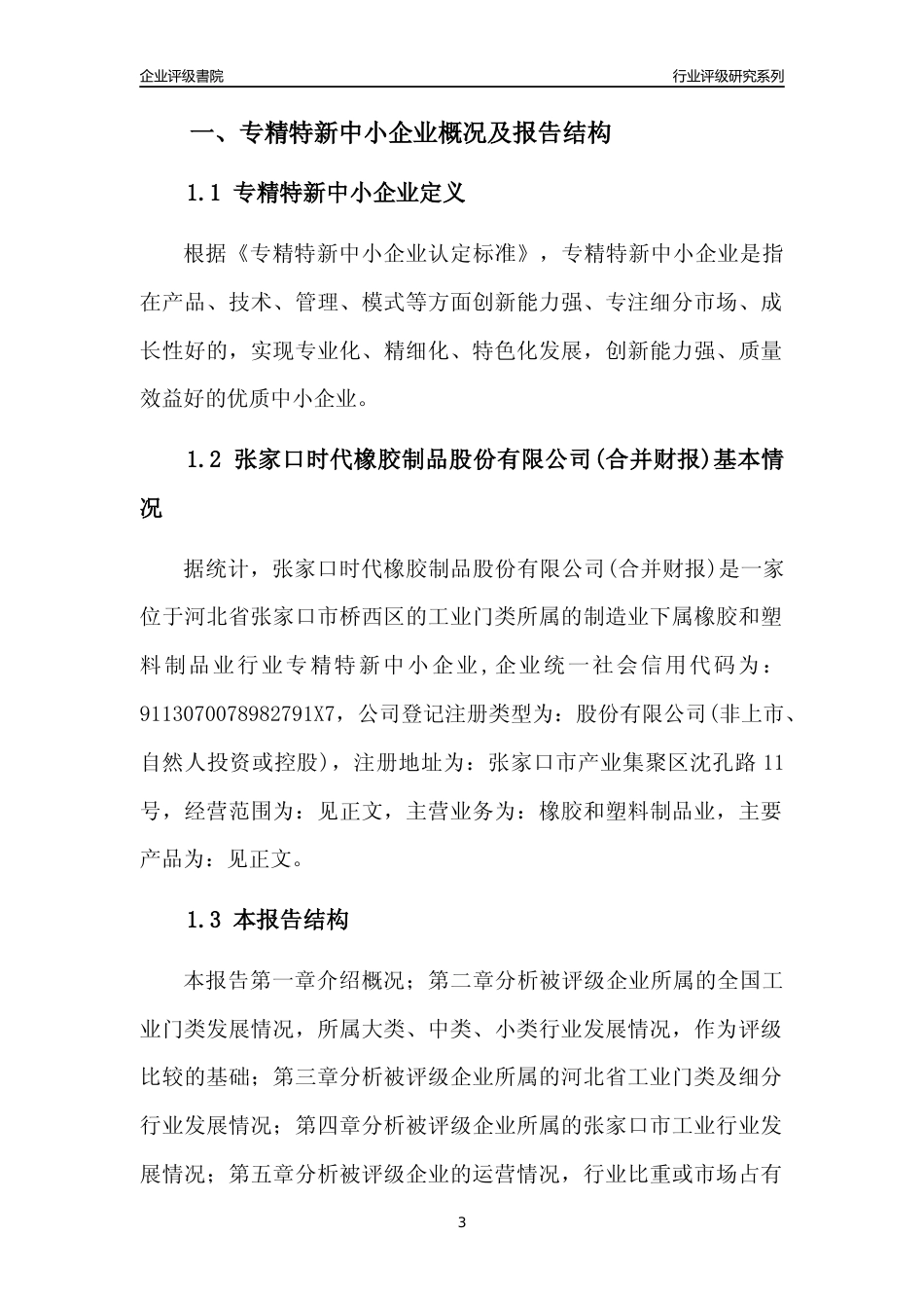 [专精特新]张家口时代橡胶制品股份有限公司(合并财报)行业竞争力评级分析报告(2023版)_第3页
