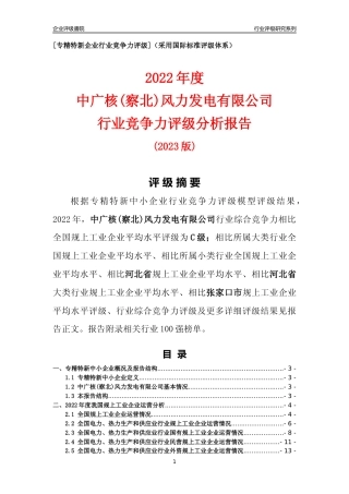 [专精特新]中广核(察北)风力发电有限公司行业竞争力评级分析报告(2023版)