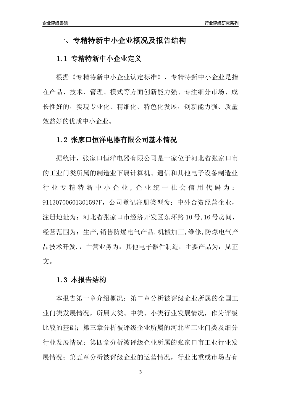 [专精特新]张家口恒洋电器有限公司行业竞争力评级分析报告(2023版)_第3页