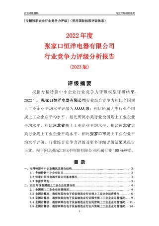 [专精特新]张家口恒洋电器有限公司行业竞争力评级分析报告(2023版)