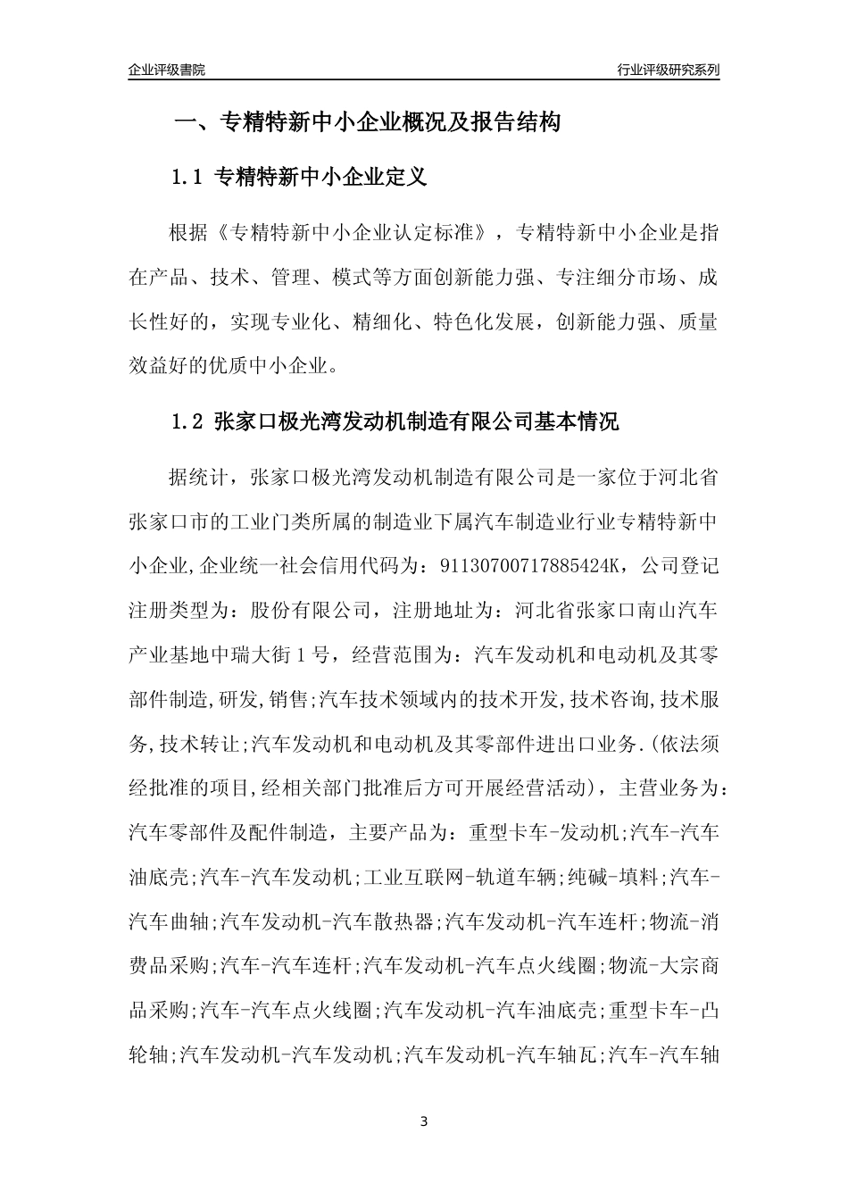 [专精特新]张家口极光湾发动机制造有限公司行业竞争力评级分析报告(2023版)_第3页