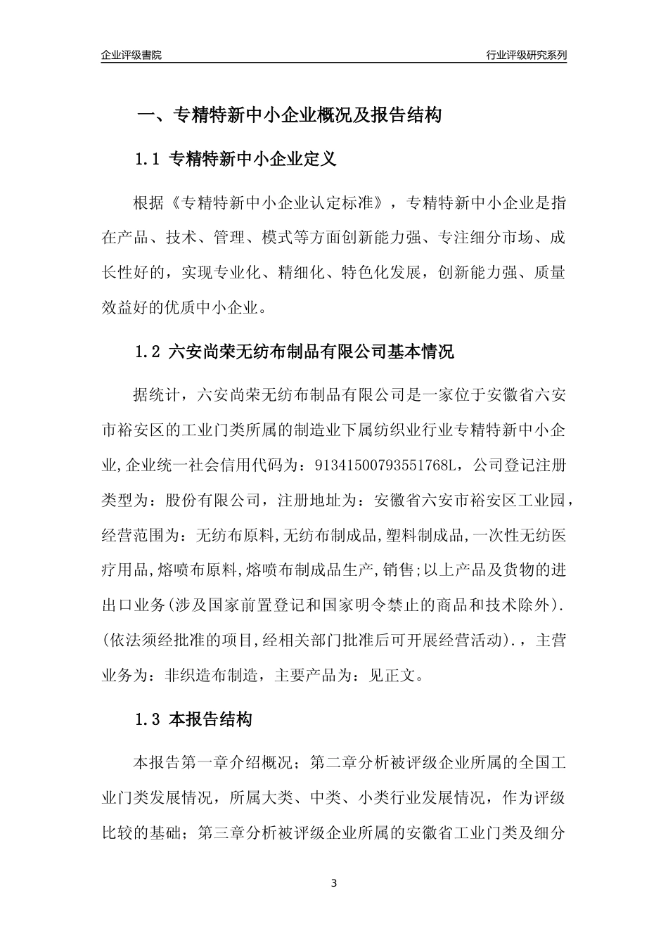 [专精特新]六安尚荣无纺布制品有限公司行业竞争力评级分析报告(2023版)_第3页