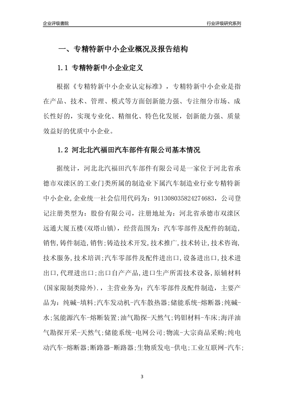 [专精特新]河北北汽福田汽车部件有限公司行业竞争力评级分析报告(2023版)_第3页