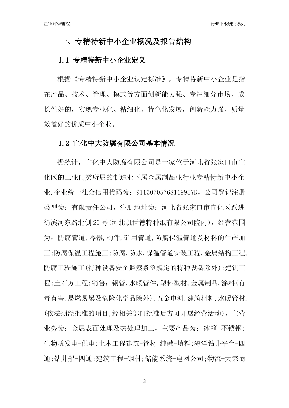 [专精特新]宣化中大防腐有限公司行业竞争力评级分析报告(2023版)_第3页