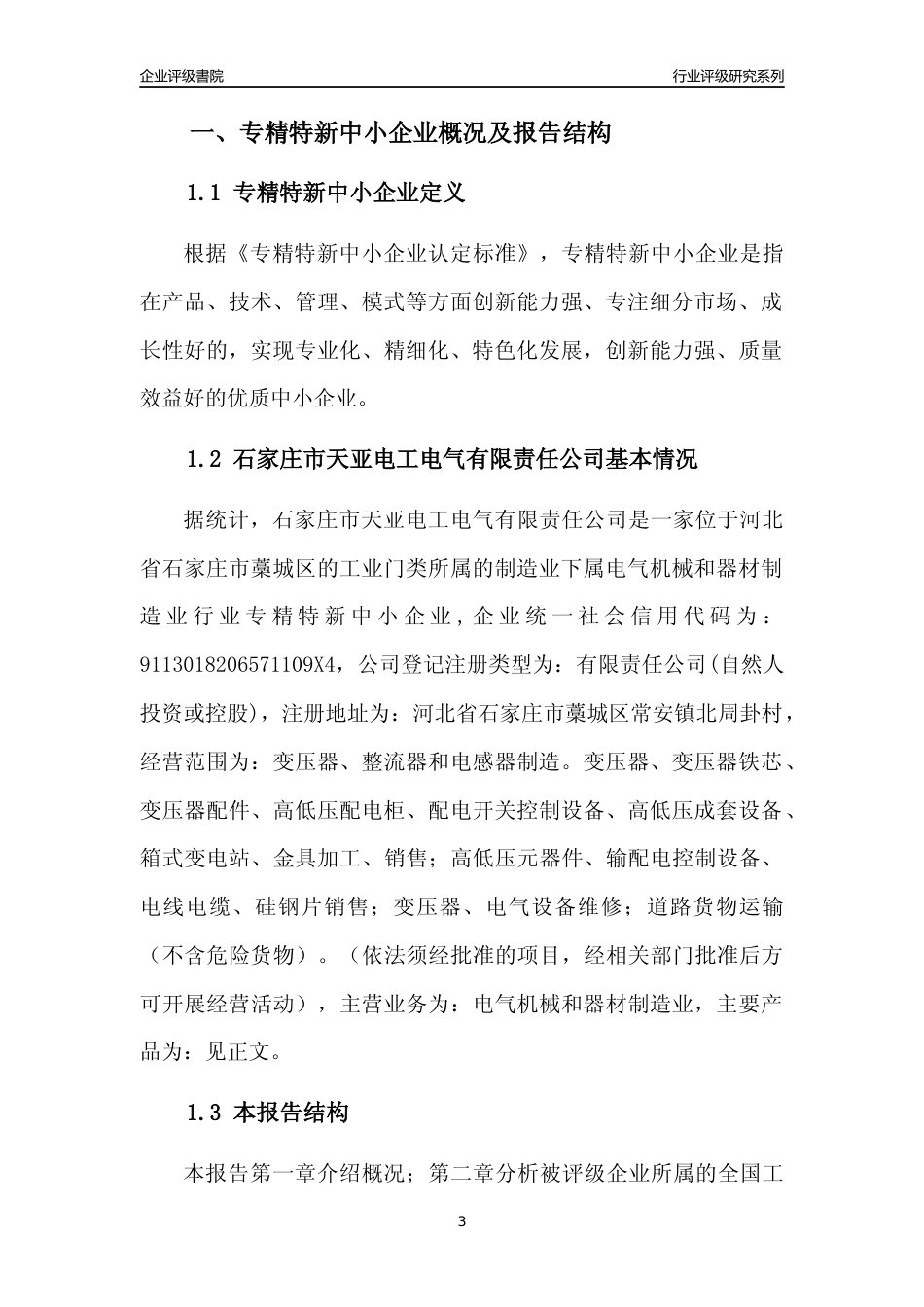 [专精特新]石家庄市天亚电工电气有限责任公司行业竞争力评级分析报告(2023版)_第3页
