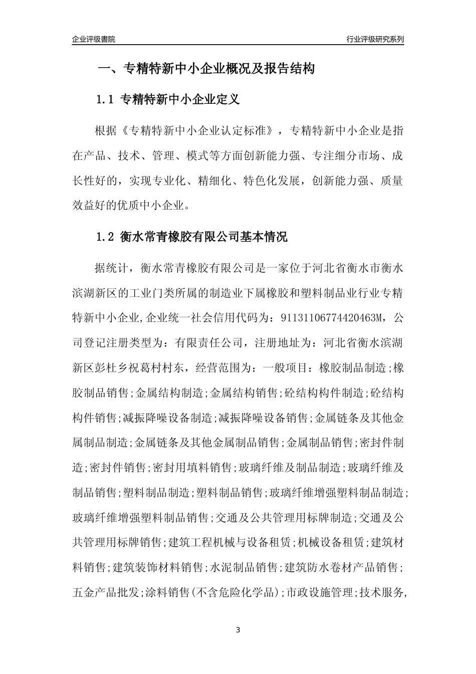 [专精特新]衡水常青橡胶有限公司行业竞争力评级分析报告(2023版)_第3页